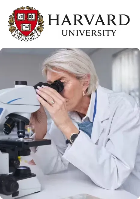 Pineal Guardian X -Lab